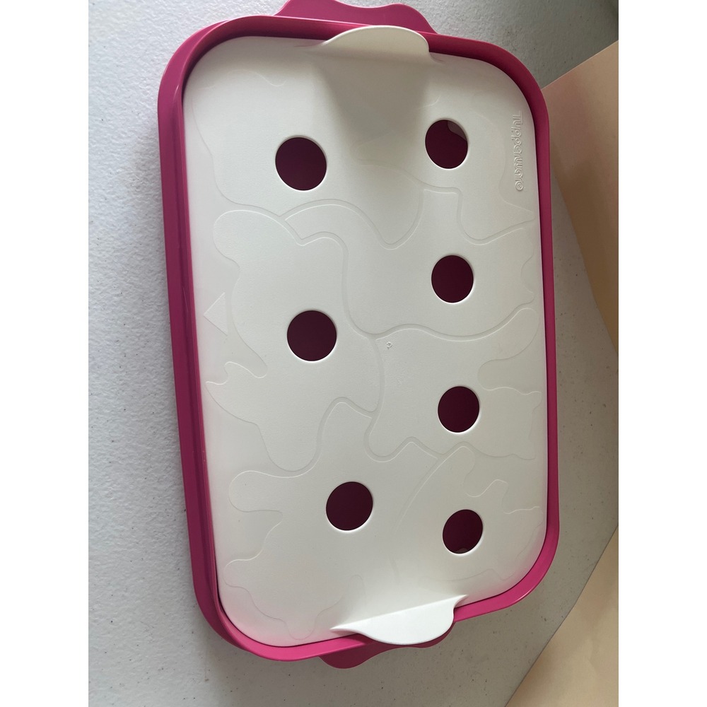 Tupperware Multi Cookie Cutter Sheet with Pink Serving Storage Tray Set